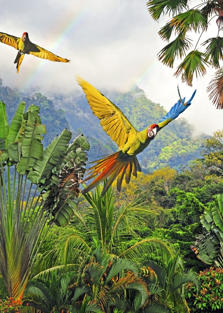 Costa Rica
