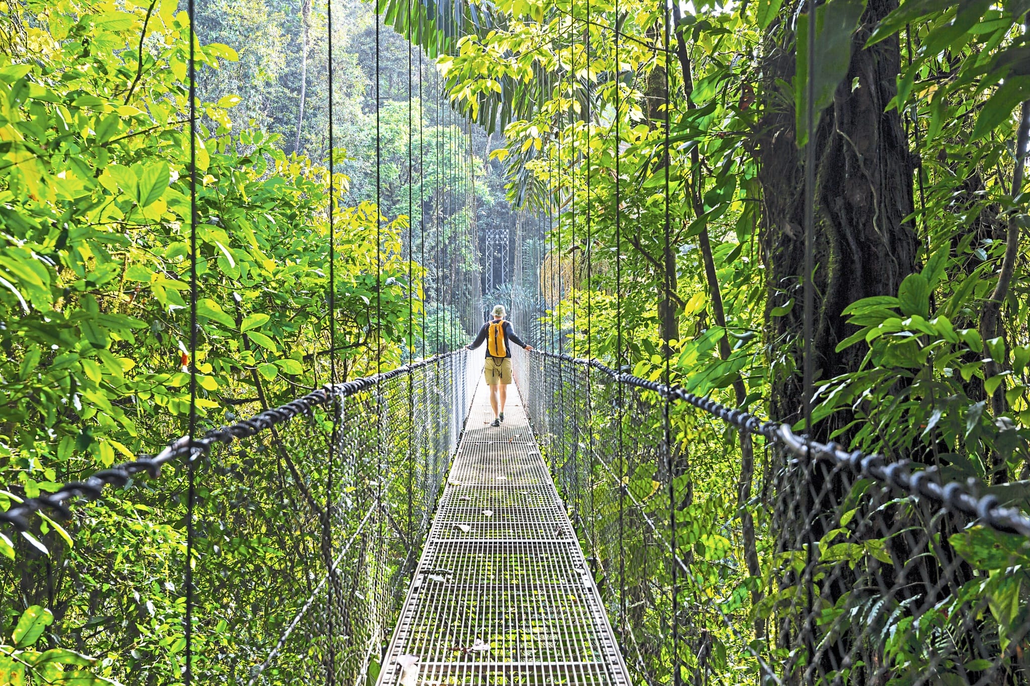 Hängebrücke in Monteverde