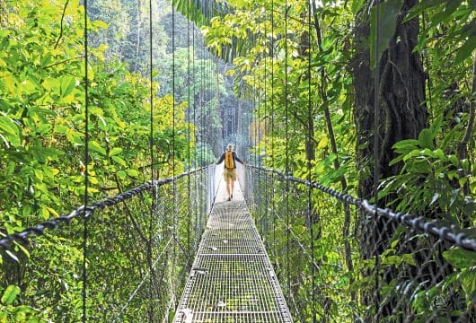 Hängebrücke in Monteverde