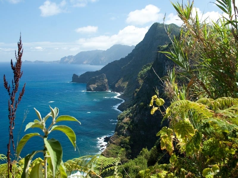 Exotische Landschaft von Madeira