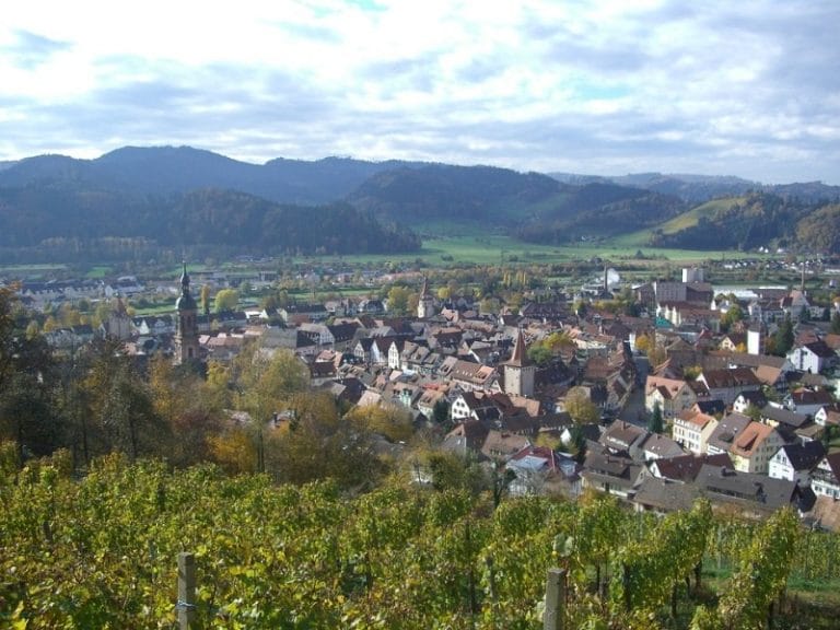 Frankreich-Deutschland - geführte E-Bike Reise durch das Elsass & Baden