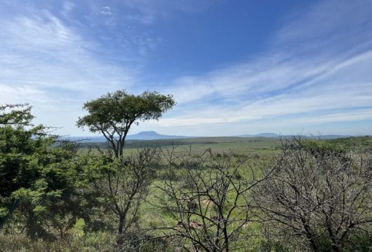 Namibiti Private Game Reserve