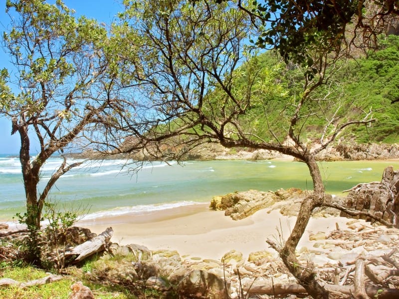 Südafrika_Garden Route_Tsitsikamma Natio