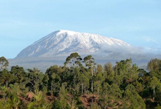 Mächtiger Kilimanjaro