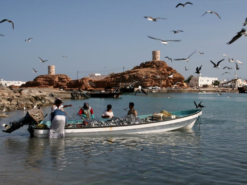 Zauber des Oman entspannt erleben (PJ002)