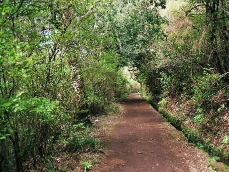 Levada-Wanderweg, Madeira