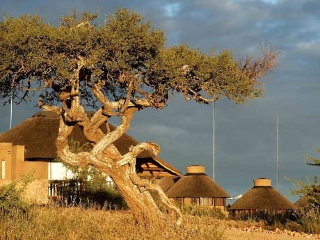 Verlängerung in Windhoek