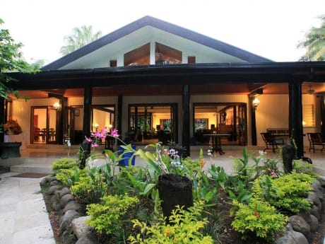 The Fiji Orchid_Fiji