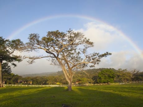 Hacienda Guachipelin with Rainbow