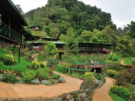 Trogon Lodge - exterior