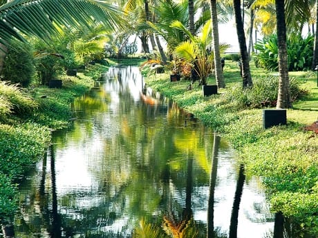 Lakesong_backwaters