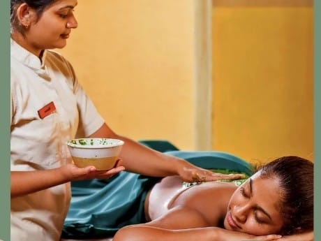 Ayurveda, Wellness