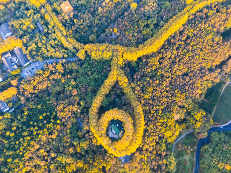 Städtetrip Nanjing, Private Tour