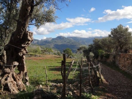 Mallorca Aussicht Berge