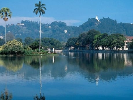 Kandy See