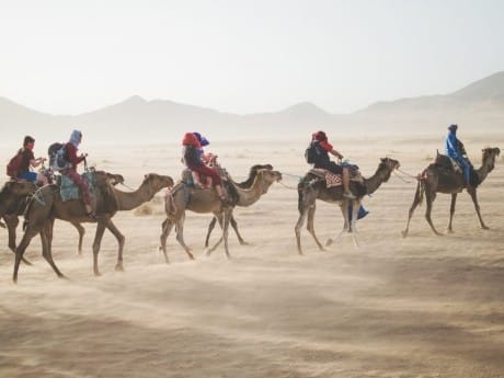 Kamelritt in der Wüste, Oman