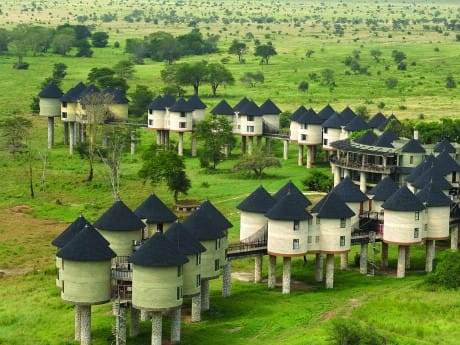 Kenia - Salt Lick Safari Lodge