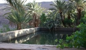 Ouednoujoum Ecolodge, Pool