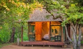 Shindzela Tented Safari Camp, Hütte 