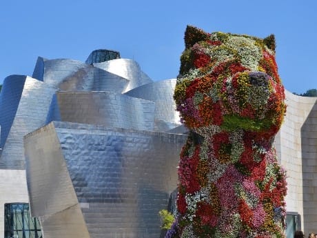 Blumen-Katze im Guggenheim Museum