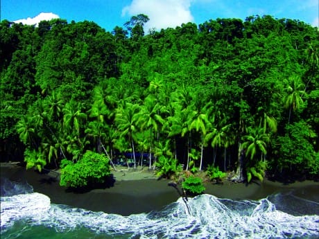 Manuel Antonio & Corcovado (SCP Corcovado Wilderness Lodge)