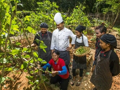 Der Garten des Koh Jum Beach 