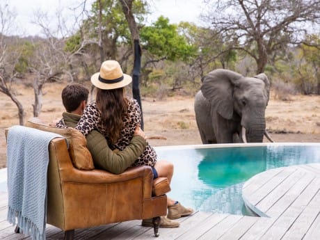 Elefant hautnah, Siviti