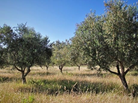 Aufenthalt in Kalamata