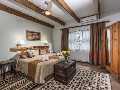 Dungbeetle River Lodge_Südafrika_Lion Su