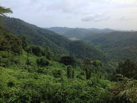 Khao Yai Nationalpark