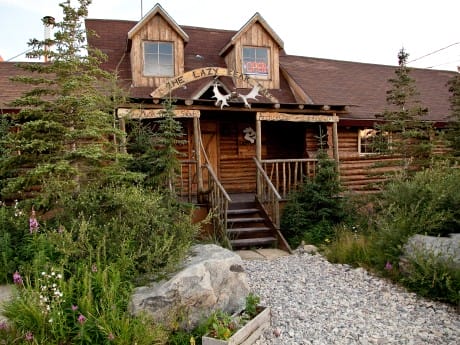 Belugas & Eisbären - Lazy Bear Lodge ext