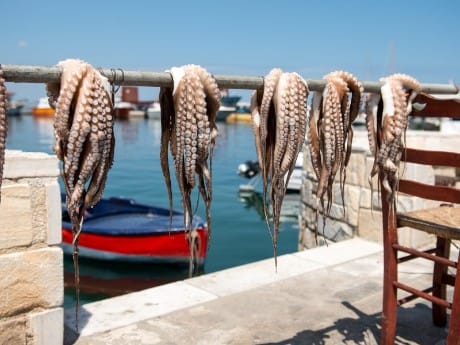 griechenland-kykladen-paros-octopus