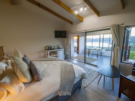 Zimmerbeispiel, Elephant Hide of Knysna