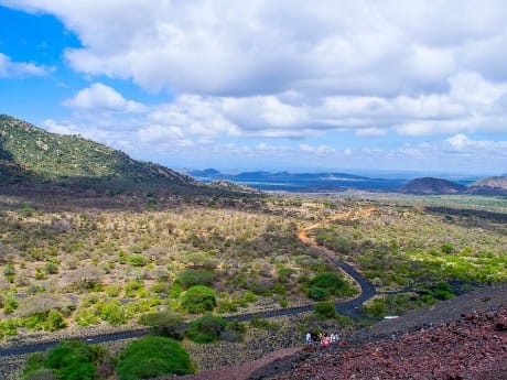 Kenia, Ngulia Safari Lodge -  Bush Walk