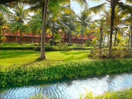 Lakesong_tropical garden