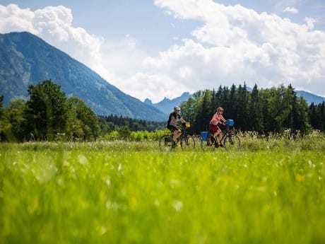 Alpe-Adria Radweg Wiese Radler