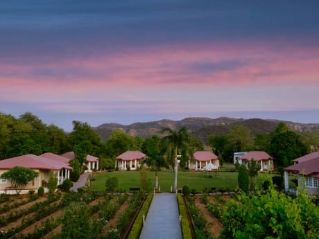 Tiger Den Resort, Ranthambhore