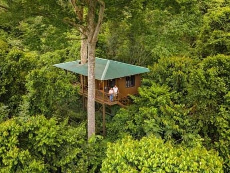 Maquenque Eco Lodge - Tree House I
