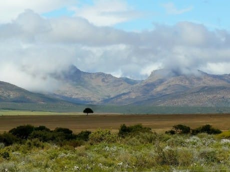 Kleine Karoo