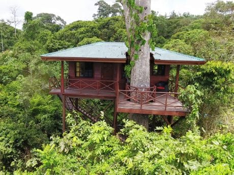 Maquenque Eco Lodge - Tree House III