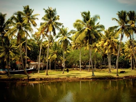 Backwaters in Südindien