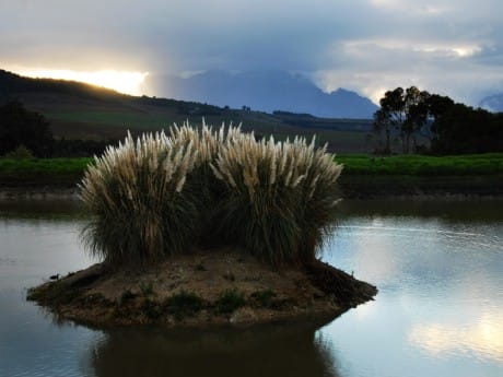 Jordan Wine Estate Aussicht