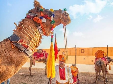 Jaislamer - Kamelritt