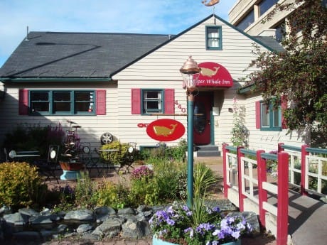 Copper Whale Inn - B&B