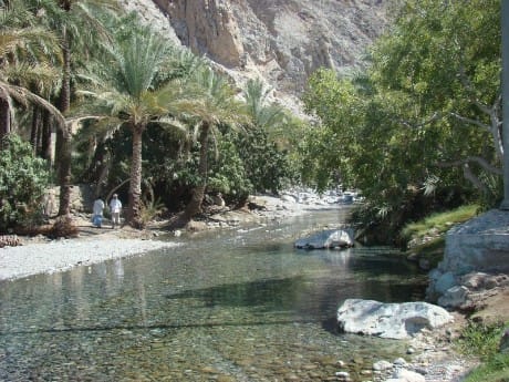 Wadi Arbiyeen, Hadschar