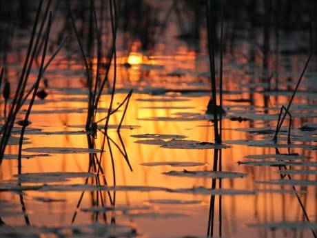 Bootsfahrt im Abendrot
