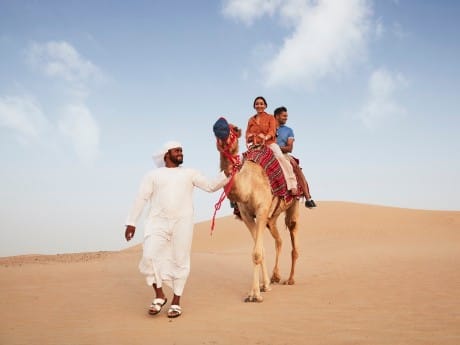 vae-dubai-camels riding