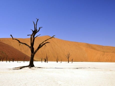 Dead Vlei Sossusvlei