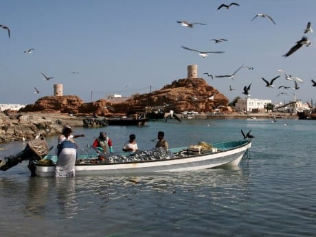 Fischer in Sur, Oman