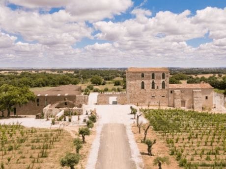 Quinta Fita Preta, Alentejo